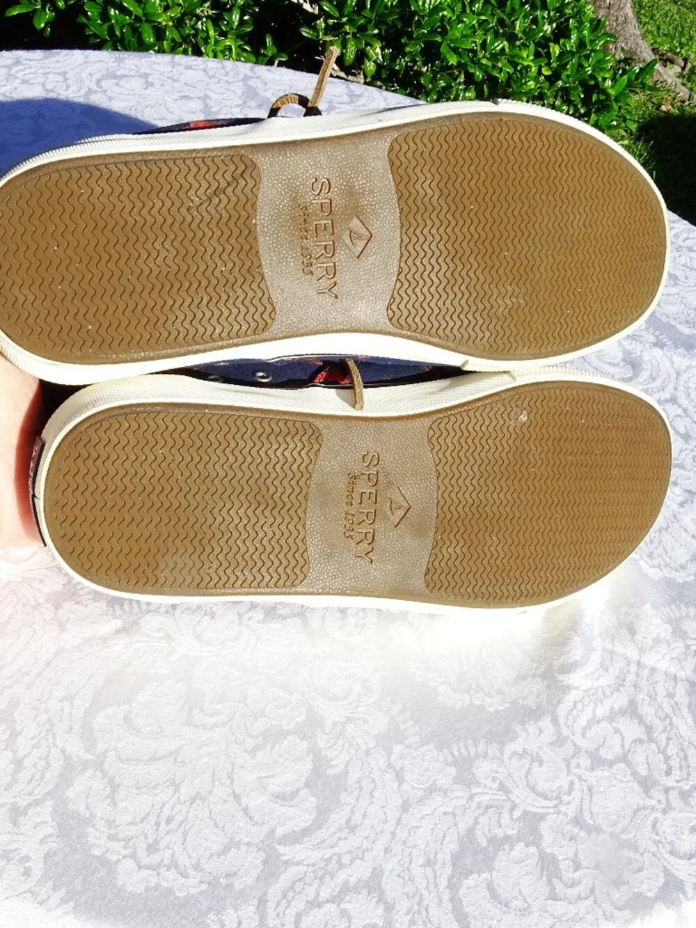 Men's Sperry Navy and Red Lobster Patterned Tennis Shoes Size 11